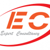 Expert-Consultancy-Jobs-in-Tanzania-100x100_319.png