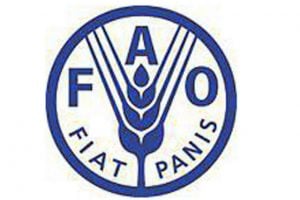 FAO_752.jpg FAO_752.jpg