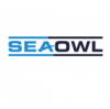 SeaOwl_48.png SeaOwl_48.png
