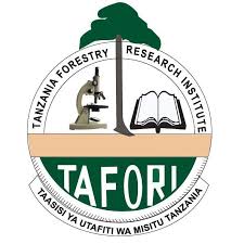 TAFORI_822.jpeg