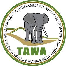 TAWA)_27.jpeg